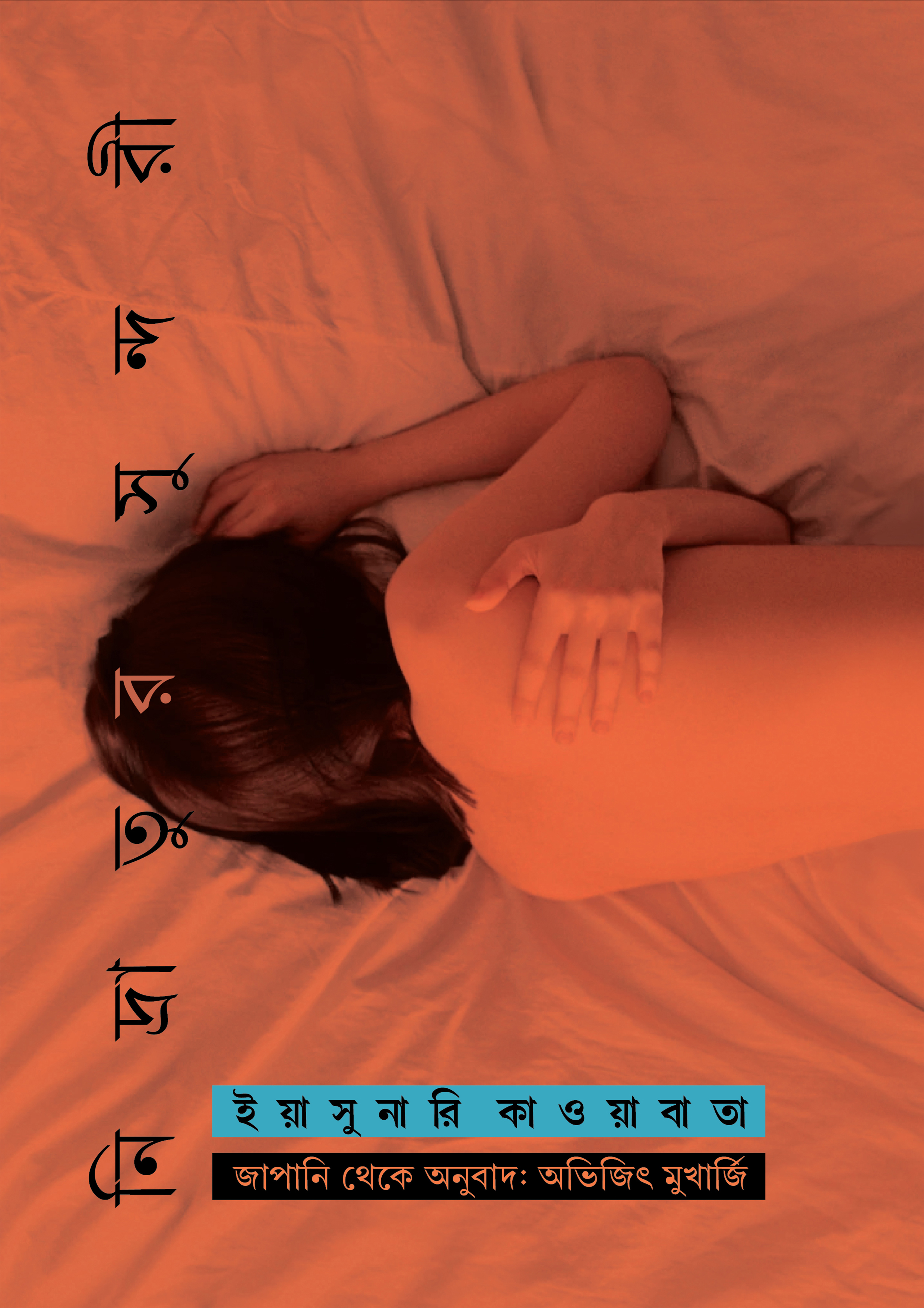 নিদ্রাতুর সুন্দরী (পেপারব্যাক)